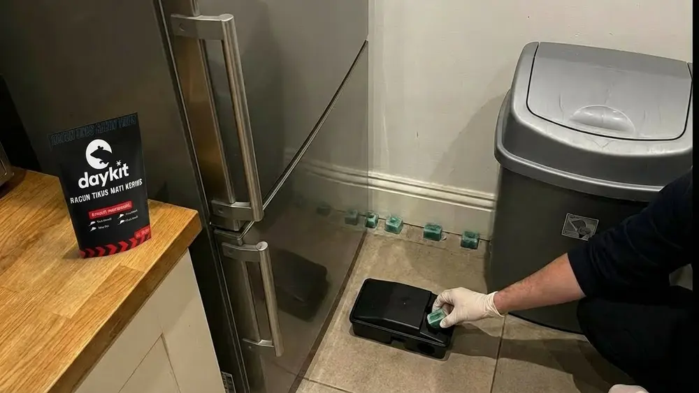 racun tikus mati kering terbaik