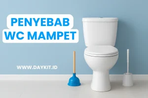 penyebab wc mampet