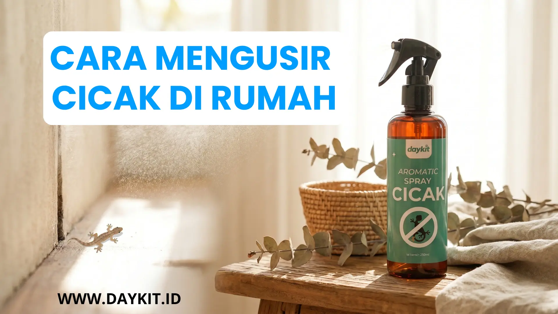 penyebab ada cicak di rumah