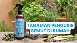 tanaman pengusir semut dalam rumah