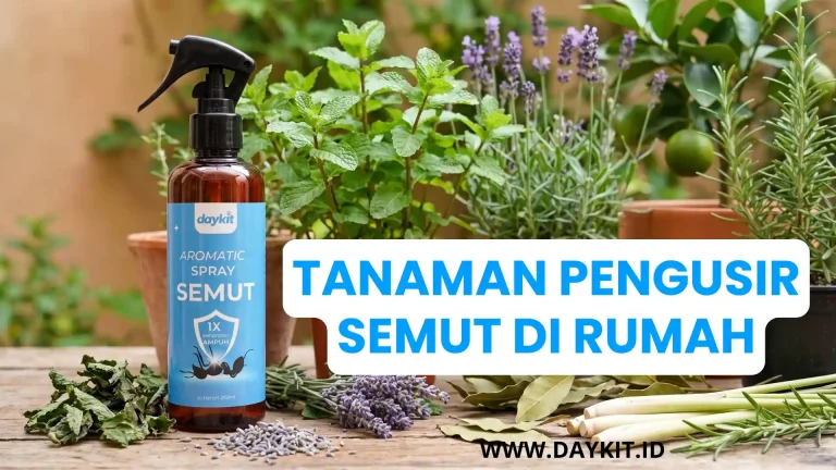 tanaman pengusir semut dalam rumah